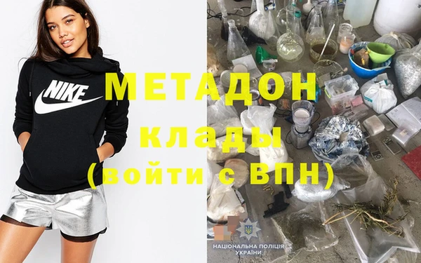 гидра Каменка