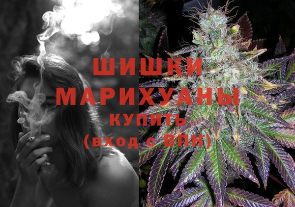 ешки Бронницы