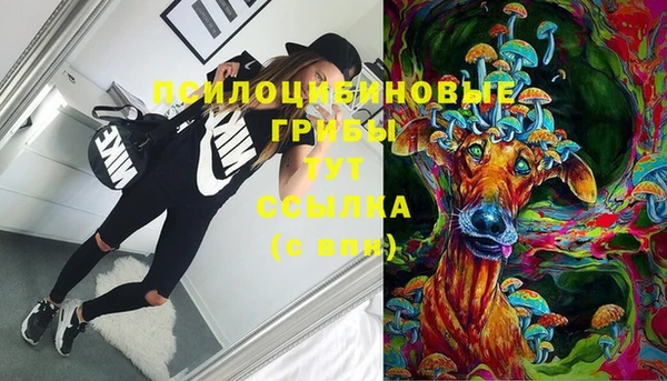 ешки Бронницы