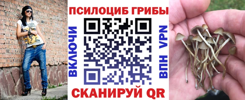 Псилоцибиновые грибы Cubensis  Верхний Уфалей 